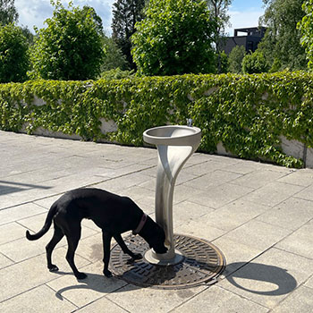 IONDESIGN drinking fountain dog